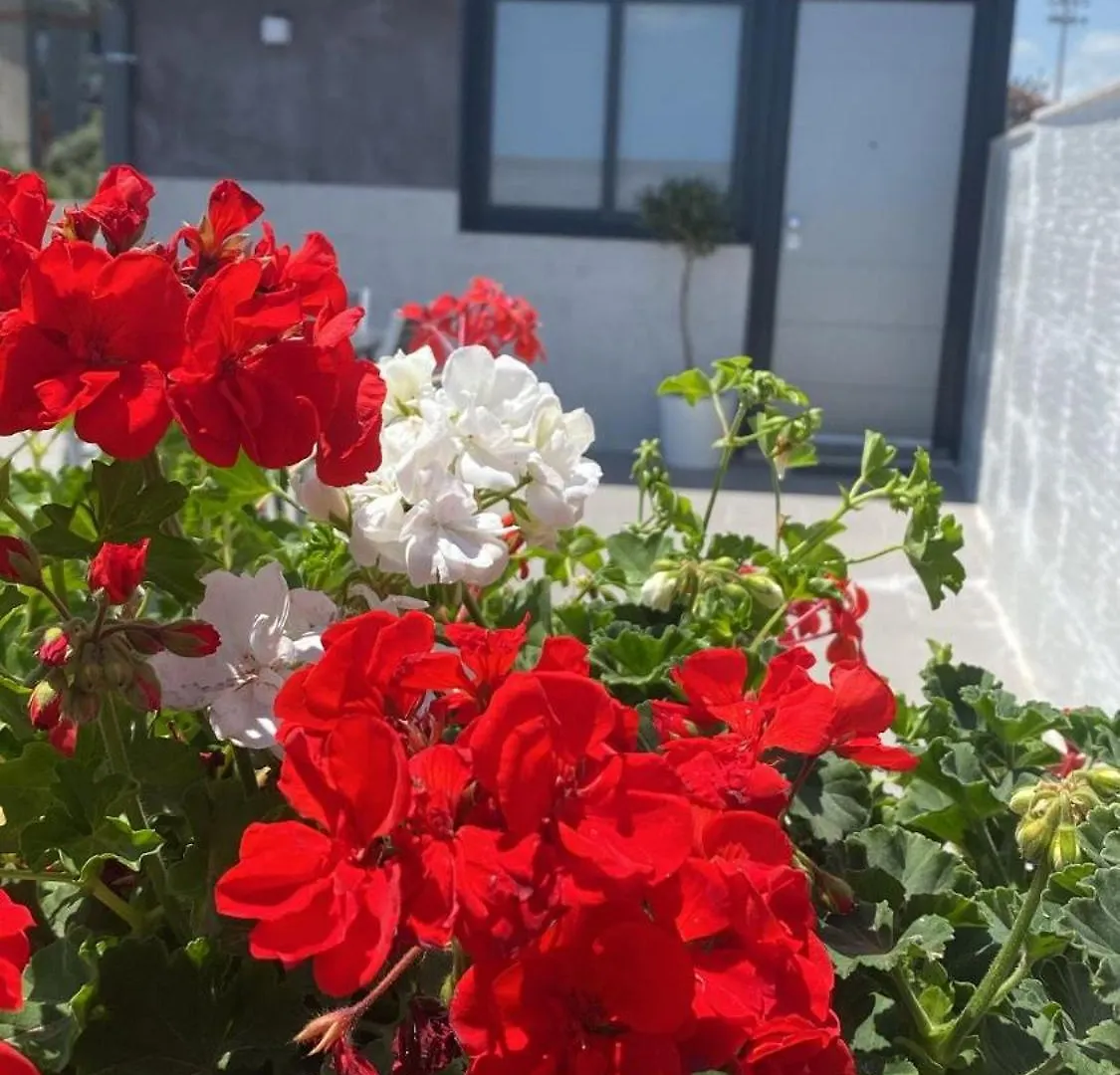 Curia Apartment Catane